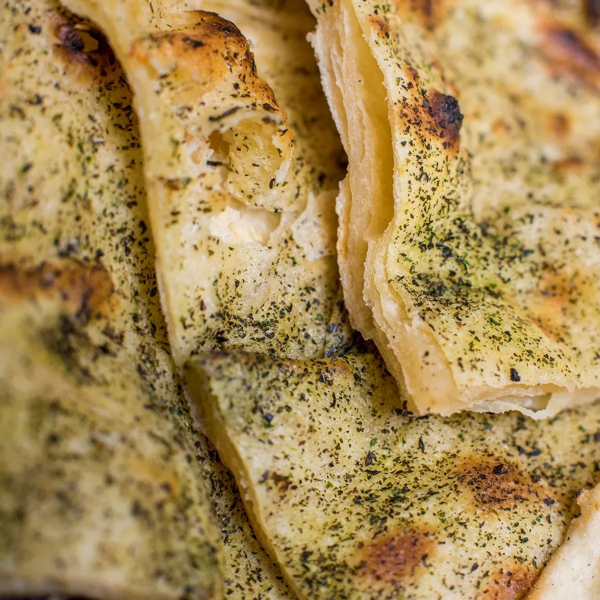 Pudina Paratha